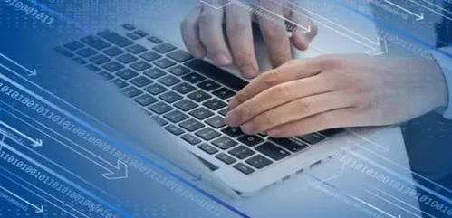 Java与网络安全 从零基础入门到精通，就业前景全面解析